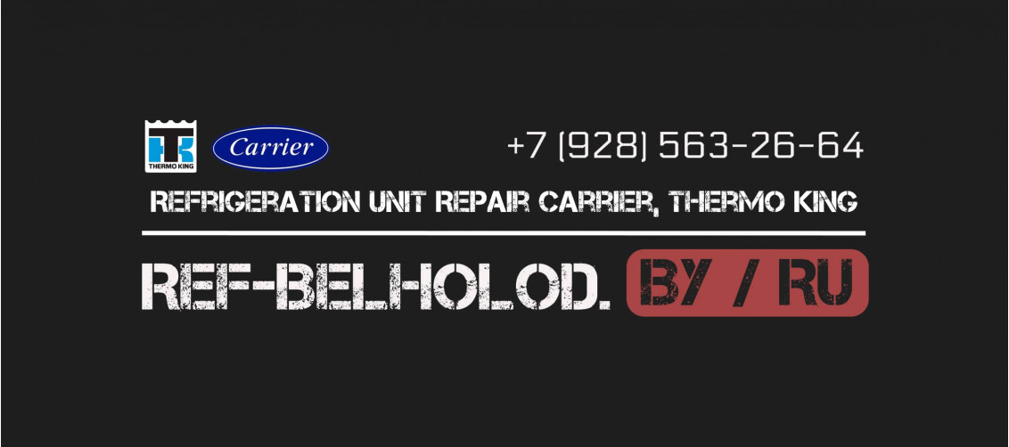 Service «RefBelHolod RU»